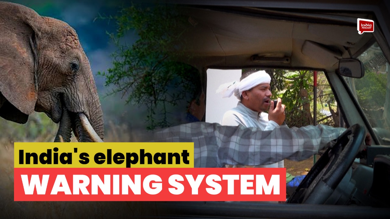 India's elephant warning system tackles deadly conflict
